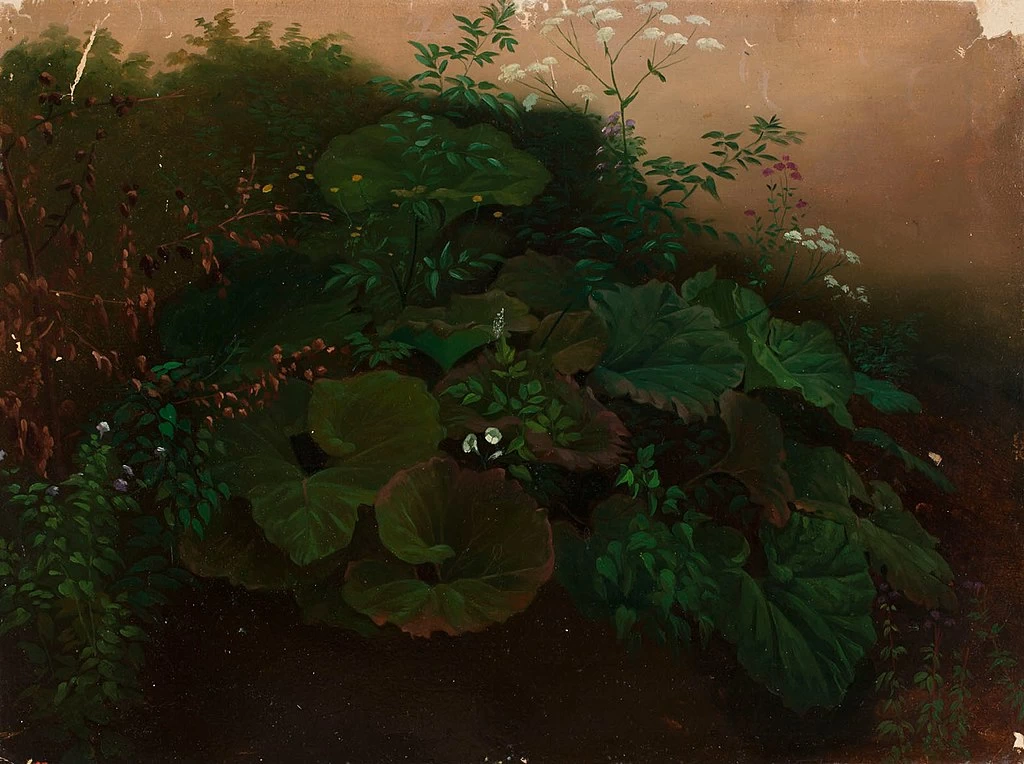 Studio di foglie - Finnish National Gallery